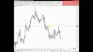 BIRJA FOREX DARSI 4 METATRADER