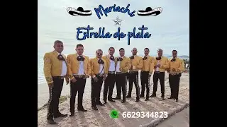 MEP "TOLOLOCHE CHICOTEADO"