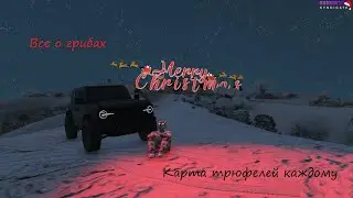 🔥Все о Грибах  КАРТА ТРЮФЕЛЕЙ КАЖДОМУ БЕСПЛАТНО🔴 🔥GTA 5 RP DUBROVSKIY SYNDICATE🔥#gta5 #syndicate