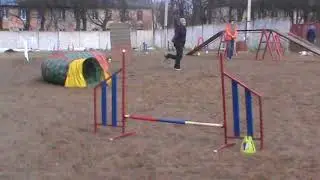 рысь