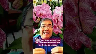 DICAS para o cultivo de orquídeas em tronco de árvores! #livrocultivodeorquideas