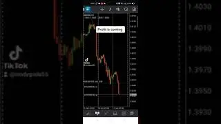 #forex profit is coming