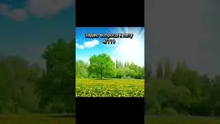 Задаю вопросы к лету день 4