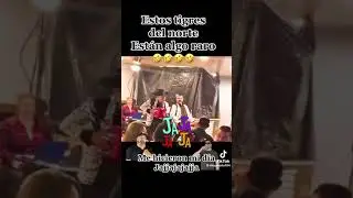 LOS TIGRES DEL NORTE ANDAN RARO😂🤣🤣