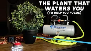 The Plant That Waters You (To Help You Focus)