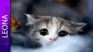 Как рисовать кошку в фотошопе