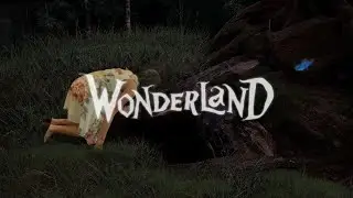 The Descent Into Wonderland