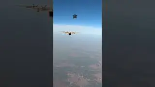 Human Flies UP!