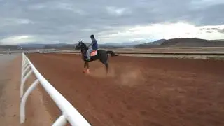 Because Horse Players Want To Know:  DIXIE DOWNS