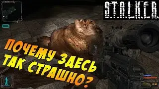 S.T.A.L.K.E.R.: Тень Чернобыля || Лаборатория х18: Туда и Обратно #9