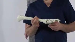Почему ноги ходят по разному   Как проверить свой паттерн шага