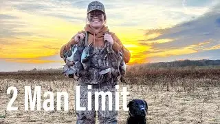 Non Stop Afternoon Teal || Iowa Waterfowl Hunting 2023