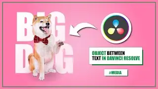 Text Effect in Davinci Resolve (Tips & Tricks) - 
