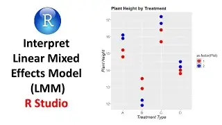 How to Interpret Linear Mixed Effects Model (LMM) in R Studio