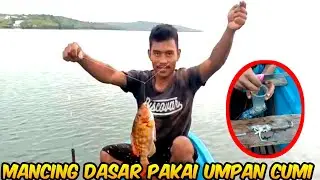 MANCING MANUAL PAKAI UMPAN CUMI Strike Ikan Katamba_Traditional Fishing