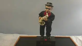 The Jazzman