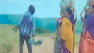 #pushpa #shorts