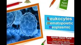 Leukemia 5th April 2020 (Dr. Ayman Samir)