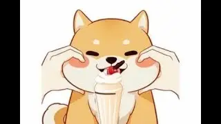 Cooking with Chef Shiba