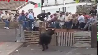 ЖЕСТЬ Most Awesome BullFighting festival in Portugal Best Funny Video Try Not to Laugh Bull Fails