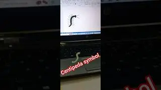 centipede 🐛 symbol shortcut key 