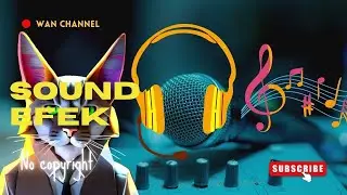 NO COPYRIGHT || WAN CHANNEL || #14