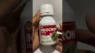 Kembarannya Insek Curacron😃😃INDOCRON 500 EC Profenofos Basmi Kutu Kutuan Ulat Grayak💥😈😈
