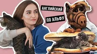 Английская грамматика по сериалу Альф (для продолжающих) │ English Spot - разговорный английский