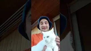 Срочно приходится продавать 