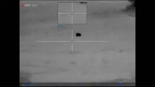 My longest shot at night so far: 300 yards. Pulsar Thermion XM50