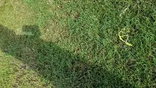 2 detik lagi