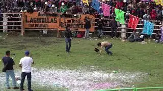 El Juego de la Botellla en un Jaripeo Michoacano - Nurio 2023 - Jaripeo Rancho Barriga