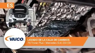 Purga de la transmisión 7G-Tronic Plus Mercedes GLK 220 | EXPERT KITS+ V30-2256-XXL
