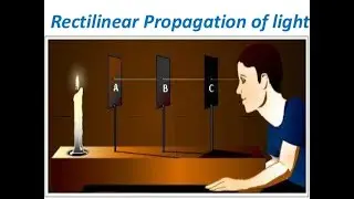 Reflective surfaces of the light | LIGHT | Easy Learning