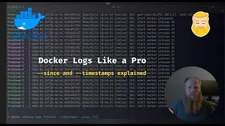 Docker Logs Like a Pro – --since & --timestamps Explained