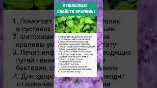 Крапива полезно знать