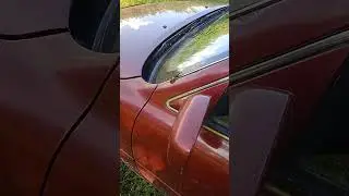 БАБОЧКА И АВТОМОБИЛЬ
