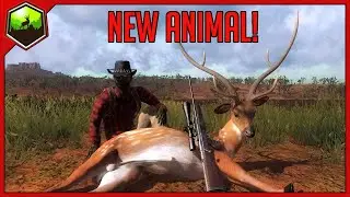 Axis Are Here! | theHunter Classic