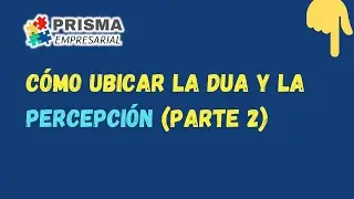 Cómo ubicar la DUA y la Percepción 🛳️ (Parte 2)