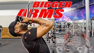 Biceps and Triceps: Arms Workout for BEST growth results