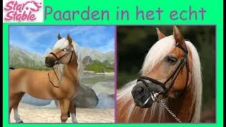 Mijn sso paarden in het echt | Starstable Online