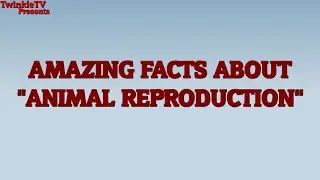Factopedia - Amazing Facts About 