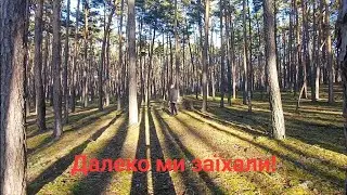 Далеко ми заїхали, може тут щось буде!