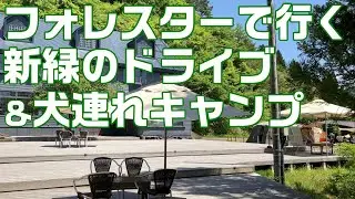 フォレスターで行く新緑ドライブ＆犬連れキャンプ【SUBARU FORESTER】