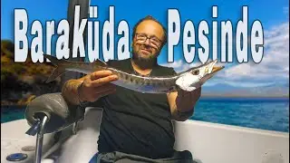 Chasing Fish with My Wife | A Fishing Journey