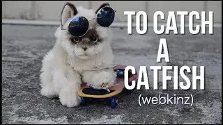 CATFISHED : WEBKINZ