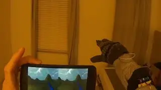 Pickup and Throw a ball in Virtual reality