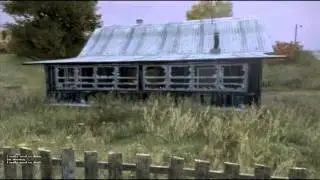 Первый день в DayZ