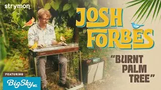 Strymon Engineer Josh Forbes Performs "Burnt Palm Tree" | Omnichord, Pedal Steel & BigSky MX