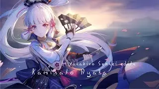 The Tale of Kamisato Ayaka